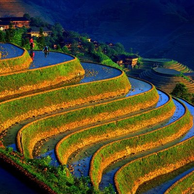 china_farm.jpg (153.36 KiB) Viewed 11688 times Китай. Земледелие.